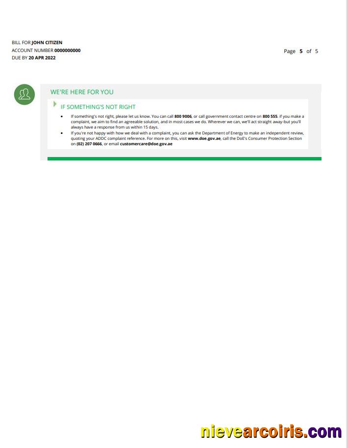 UAE Ras Al Khaimah Al Ain Distribution Co utility bill 5 pages 5